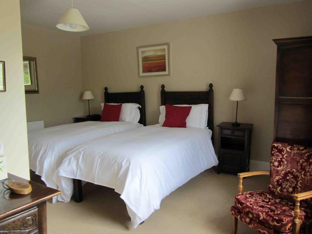 The Three Cocks Coaching Inn Glasbury Exteriér fotografie